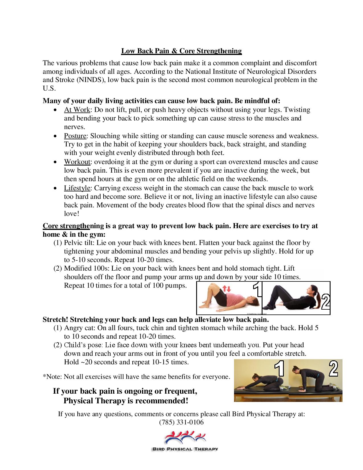 Low Back Pain & Core Strengthening - Bird Physical Therapy